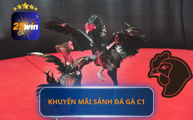 KHUYẾN MÃI SẢNH ĐÁ GÀ C1